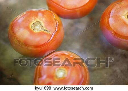 Tomatoes floating on water View Large Photo Image Stock Photo - Tomatoes floating on water. Fotosearch