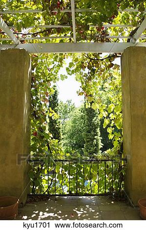 Stock Image - View of trees. Fotosearch