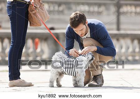 Man attaching leash on a puppy, Paris, Ile-de-France, France View Large Photo Image Stock Image - Man attaching leash on a puppy, Paris, Ile-de-France, France. Fotosearch