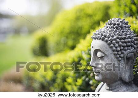 Statue of Buddha in a garden View Large Photo Image Stock Photograph - Statue of Buddha in a garden. Fotosearch
