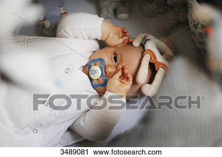 8 months baby boy in his bed View Large Photo Image Stock Image - 8 months baby boy in his bed. Fotosearch