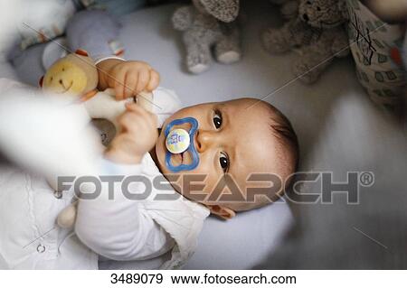 8 months baby boy in his bed View Large Photo Image Stock Photo - 8 months baby boy in his bed. Fotosearch