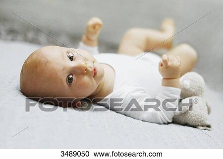 8 months baby boy lying down View Large Photo Image Stock Image - 8 months baby boy lying down. Fotosearch