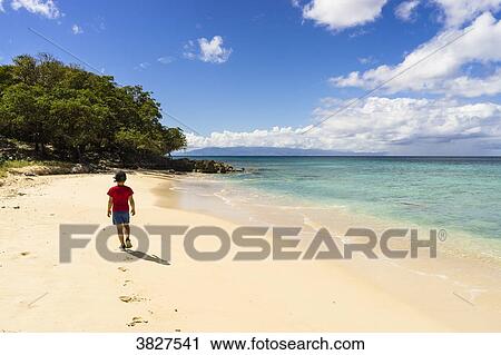 A boy of 7 years old walking on the Moustique's beach, Saint-Louis, Marie-Galante, Guadeloupe, France View Large Photo Image Stock Image - A boy of 7 years old walking on the Moustique's beach, Saint-Louis, Marie-Galante, Guadeloupe, France. Fotosearch