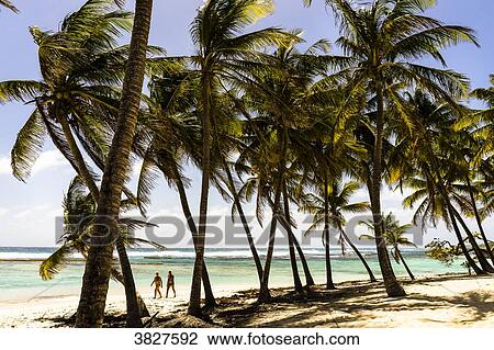 Stock Image - A couple on La Feuillere's beach, Capesterre, Marie-Galante, Guadeloupe, France. Fotosearch