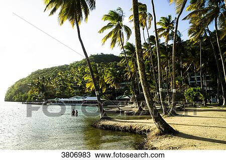 Stock Image - A couple swimming, Marigot Bay, Sainte-Lucia, West Indies. Fotosearch