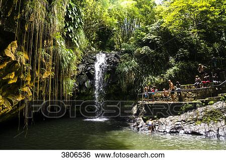 A group of persons in front of the Annandale Falls, Grenada, West Indies View Large Photo Image Stock Photograph - A group of persons in front of the Annandale Falls, Grenada, West Indies. Fotosearch