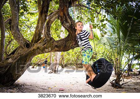 A kid seven years old playing on a swing with a tyre, Gosier island, Guadeloupe, France View Large Photo Image Stock Image - A kid seven years old playing on a swing with a tyre, Gosier island, Guadeloupe, France. Fotosearch