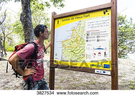 A man is looking at a hiking trail, Saint-Louis, Marie-Galante, Guadeloupe, France View Large Photo Image Picture - A man is looking at a hiking trail, Saint-Louis, Marie-Galante, Guadeloupe, France. Fotosearch