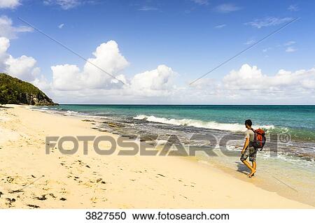 A man is walking alone on the Moustique's beach, Saint-Louis, Marie-Galante, Guadeloupe, France View Large Photo Image Stock Image - A man is walking alone on the Moustique's beach, Saint-Louis, Marie-Galante, Guadeloupe, France. Fotosearch