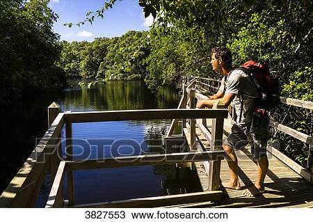 A man on a wooden path on the Saint-Louis's river, Marie-Galante, Guadeloupe, France View Large Photo Image Stock Image - A man on a wooden path on the Saint-Louis's river, Marie-Galante, Guadeloupe, France. Fotosearch