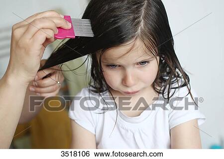 A mother passes a lice comb in the hair of her 6 years old girl View Large Photo Image Stock Photograph - A mother passes a lice comb in the hair of her 6 years old girl. Fotosearch