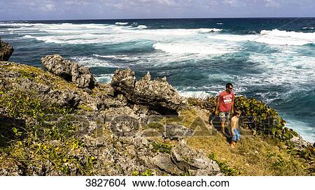 Picture - A son and his father walking on a trail between waves and rocs on the windward cost, Morne Rita, Capesterre, Marie Galante. Fotosearch
