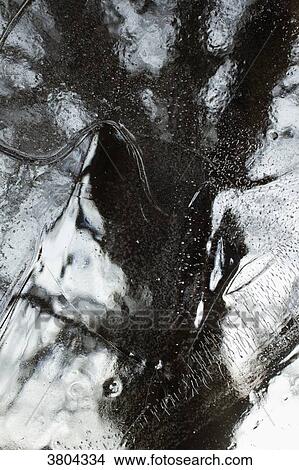 A tree trunk seen from a block of ice. View Large Photo Image Picture - A tree trunk seen from a block of ice.. Fotosearch