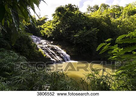 Antilles, Grenada, West Indies, Concord, waterfall. View Large Photo Image Stock Image - Antilles, Grenada, West Indies, Concord, waterfall.. Fotosearch