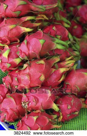 Asia, China, Shanghai. Pitaya View Large Photo Image Stock Image - Asia, China, Shanghai. Pitaya. Fotosearch