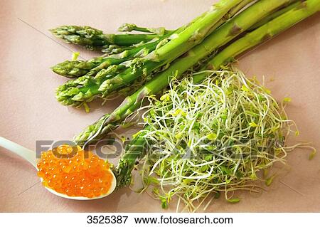 Asparagus, alfafa and broccoli seeds, spoon of eggs of trout View Large Photo Image Stock Photo - Asparagus, alfafa and broccoli seeds, spoon of eggs of trout. Fotosearch