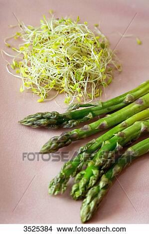 Asparagus and alfafa seeds View Large Photo Image Picture - Asparagus and alfafa seeds. Fotosearch