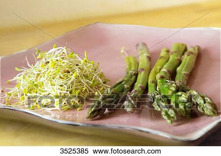 Asparagus and alfafa seeds View Large Photo Image Stock Photography - Asparagus and alfafa seeds. Fotosearch