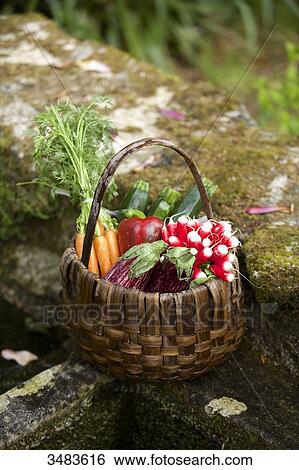 Basket of vegetables View Large Photo Image Stock Photograph - Basket of vegetables. Fotosearch