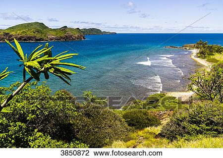 Bird's eye view, Petit Nevis, Saint-Vincent and the Grenadines, West Indies View Large Photo Image Stock Image - Bird's eye view, Petit Nevis, Saint-Vincent and the Grenadines, West Indies. Fotosearch