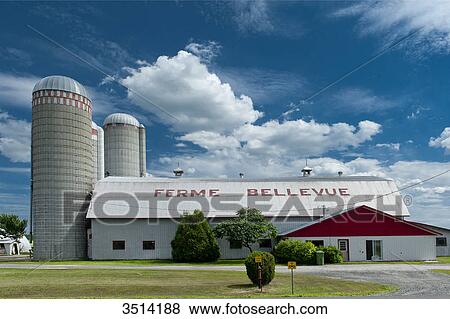 Canada, Province of Quebec. Farm with grain silos to Deschaillons on Saint Laurent river (between Montreal and Quebec) View Large Photo Image Stock Photo - Canada, Province of Quebec. Farm with grain silos to Deschaillons on Saint Laurent river (between Montreal and Quebec). Fotosearch
