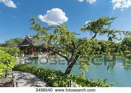 Canada, Province of Quebec. Montreal. District Hochelega-Maisonneuve (HoMa). The botanic garden. The Chinese garden View Large Photo Image Stock Image - Canada, Province of Quebec. Montreal. District Hochelega-Maisonneuve (HoMa). The botanic garden. The Chinese garden. Fotosearch