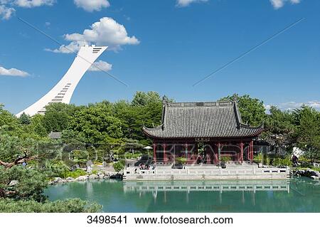 Canada, Province of Quebec. Montreal. District Hochelega-Maisonneuve (HoMa). The botanic garden. The Chinese garden. In the background: the olympic stadium tilted tower View Large Photo Image Stock Image - Canada, Province of Quebec. Montreal. District Hochelega-Maisonneuve (HoMa). The botanic garden. The Chinese garden. In the background: the olympic stadium tilted tower. Fotosearch
