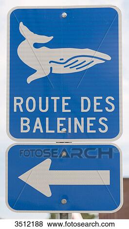 Canada, Province of Quebec. Tadoussac, world capital of whale watching. The road of whales View Large Photo Image Stock Photo - Canada, Province of Quebec. Tadoussac, world capital of whale watching. The road of whales. Fotosearch