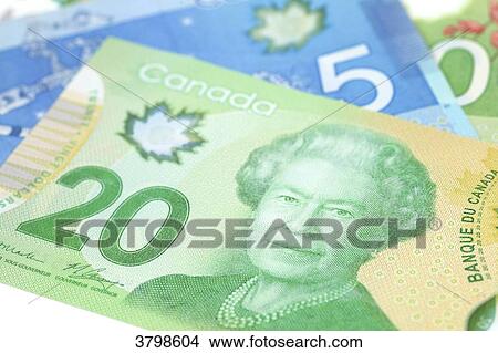 Canadian dollars. Elisabeth II View Large Photo Image Picture - Canadian dollars. Elisabeth II. Fotosearch