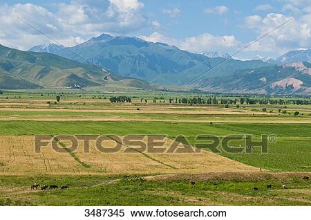 Central Asia, Kyrgyzstan, Chuy province, Burana Tower (11th), view from the archeological site View Large Photo Image Stock Photography - Central Asia, Kyrgyzstan, Chuy province, Burana Tower (11th), view from the archeological site. Fotosearch