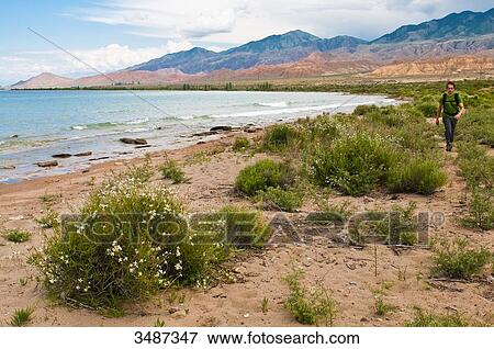 Central Asia, Kyrgyzstan, Issyk Kul Province (Ysyk-Kl), the Issyk Kul lake culminates at 1, 606 m above sea level View Large Photo Image Stock Photo - Central Asia, Kyrgyzstan, Issyk Kul Province (Ysyk-Kl), the Issyk Kul lake culminates at 1, 606 m above sea level. Fotosearch