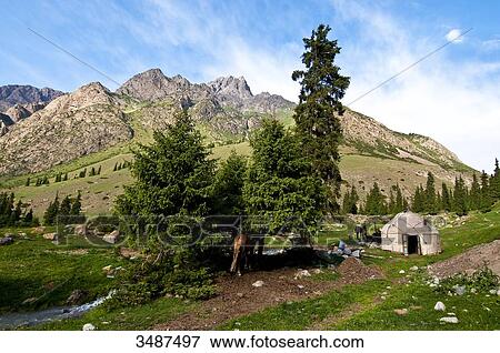 Central Asia, Kyrgyzstan, Issyk Kul Province (Ysyk-Kl), Juuku valley, every year Tourar and Nurgul's family setlle for few months in the mountains and plant a yurt for the cheese making View Large Photo Image Stock Photo - Central Asia, Kyrgyzstan, Issyk Kul Province (Ysyk-Kl), Juuku valley, every year Tourar and Nurgul's family setlle for few months in the mountains and plant a yurt for the cheese making. Fotosearch