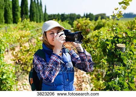 cheerful young woman hiking and taking pictures with her reflex single lens camera- Cepage Grenache, Chateauneuf du Pape, cotes du Rhone, France View Large Photo Image Stock Photograph - cheerful young woman hiking and taking pictures with her reflex single lens camera- Cepage Grenache, Chateauneuf du Pape, cotes du Rhone, France. Fotosearch