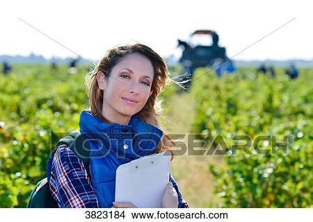 cheerful young woman oenologist wine specialist checking if grapes are ready to be harvested in vineyard during wine harvest season autumn- Cepage Grenache, Chateauneuf du Pape, cotes du Rhone, France View Large Photo Image Picture - cheerful young woman oenologist wine specialist checking if grapes are ready to be harvested in vineyard during wine harvest season autumn- Cepage Grenache, Chateauneuf du Pape, cotes du Rhone, France. Fotosearch