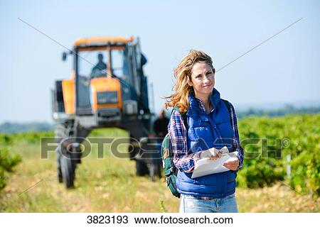 cheerful young woman oenologist wine specialist checking if grapes are ready to be harvested in vineyard during wine harvest season autumn- Cepage Grenache, Chateauneuf du Pape, cotes du Rhone, France View Large Photo Image Stock Image - cheerful young woman oenologist wine specialist checking if grapes are ready to be harvested in vineyard during wine harvest season autumn- Cepage Grenache, Chateauneuf du Pape, cotes du Rhone, France. Fotosearch