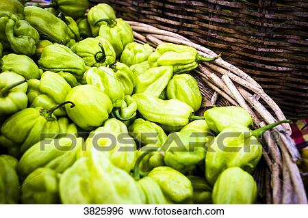 Stock Photograph - Chili hot, Saint-Pierre, Martinique, France. Fotosearch