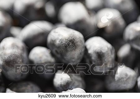 Stock Photo - Close-up of berries. Fotosearch
