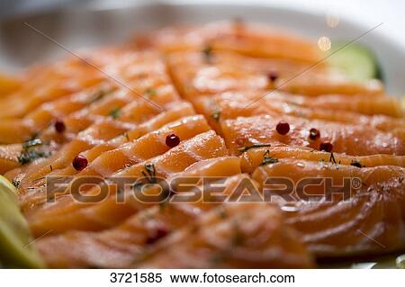 Close-up of marinated salmon dish of sliced with pink berries View Large Photo Image Stock Photography - Close-up of marinated salmon dish of sliced with pink berries. Fotosearch