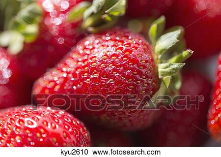 Close-up of strawberries View Large Photo Image Stock Image - Close-up of strawberries. Fotosearch