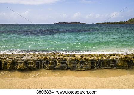 coast, Pointe Macre, Martinique, France View Large Photo Image Picture - coast, Pointe Macre, Martinique, France. Fotosearch