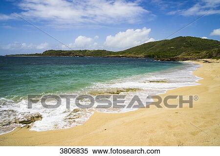 coast, Pointe Macre, Martinique, France View Large Photo Image Stock Photography - coast, Pointe Macre, Martinique, France. Fotosearch