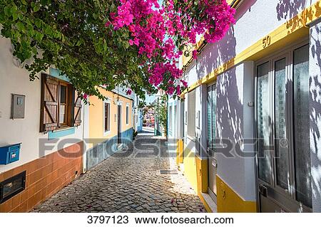 cobbled street of the village Ferragudo, Algarve region, Portugal View Large Photo Image Stock Image - cobbled street of the village Ferragudo, Algarve region, Portugal. Fotosearch
