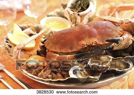 Crab View Large Photo Image Stock Image - Crab. Fotosearch