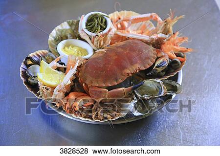 Crab View Large Photo Image Stock Photo - Crab. Fotosearch