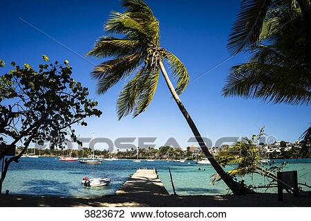 Dock, Gosier island, Guadeloupe, France View Large Photo Image Stock Image - Dock, Gosier island, Guadeloupe, France. Fotosearch