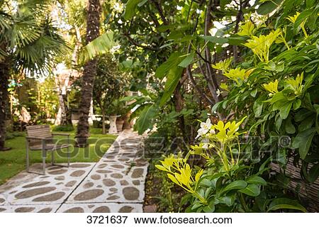 Stock Photo - Exotic urban garden from a private property close to Paris. Fotosearch
