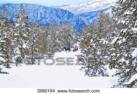 Family carriage ride in the forest View Large Photo Image Picture - Family carriage ride in the forest. Fotosearch