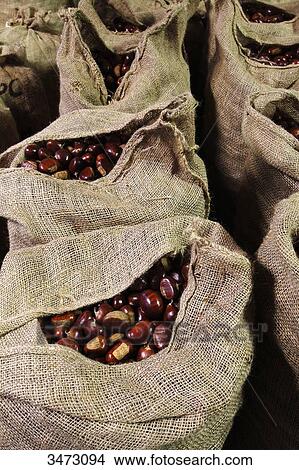 France, Ardeche, Bise, bags of chestnuts for chestnut flour. View Large Photo Image Picture - France, Ardeche, Bise, bags of chestnuts for chestnut flour.. Fotosearch