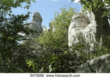 France, Ardeche, Chassagnes, Wood of Paiolive. Curious-looking white rocks in an oak forest. View Large Photo Image Stock Image - France, Ardeche, Chassagnes, Wood of Paiolive. Curious-looking white rocks in an oak forest.. Fotosearch